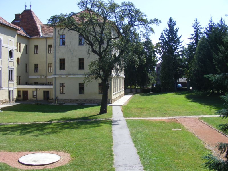 photo14.jpg