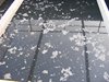 DSCF5377