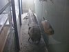 DSCF5515