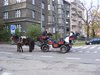 DSCF5562