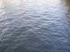 DSCF5683
