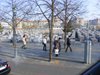 DSCF5648