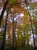 DSCF5993
