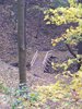 DSCF5977