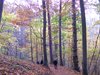 DSCF5991