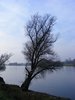 DSCF5866