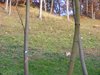 DSCF5894