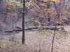 DSCF5974