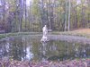 DSCF5911