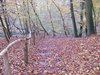 DSCF6007