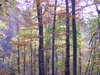 DSCF5988