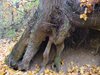 DSCF5849