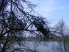 DSCF5862