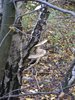 DSCF5951