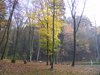 DSCF5908