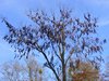 DSCF5938