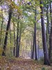 DSCF5901
