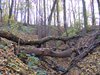 DSCF5983
