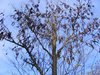 DSCF5942
