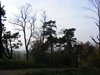 DSCF5943