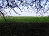 DSCF5949