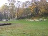 DSCF6013