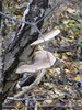 DSCF5952