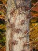 DSCF5941