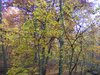 DSCF5998