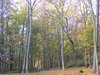 DSCF5909