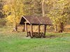 DSCF6009