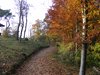 DSCF5947