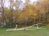 DSCF6019