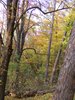 DSCF5979