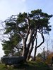 DSCF5937