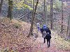DSCF5992