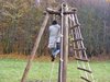 DSCF6017