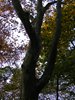 DSCF5954