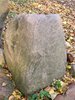 DSCF5973