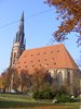 DSCF6204