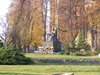 DSCF6203