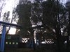 DSCF6466