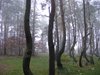 DSCF6322