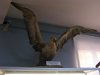 DSCF6433