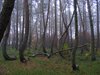 DSCF6320