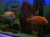 DSCF6439