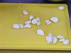 DSCF6604