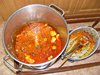 DSCF6611