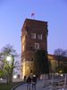 DSCF7187