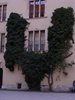 DSCF7169